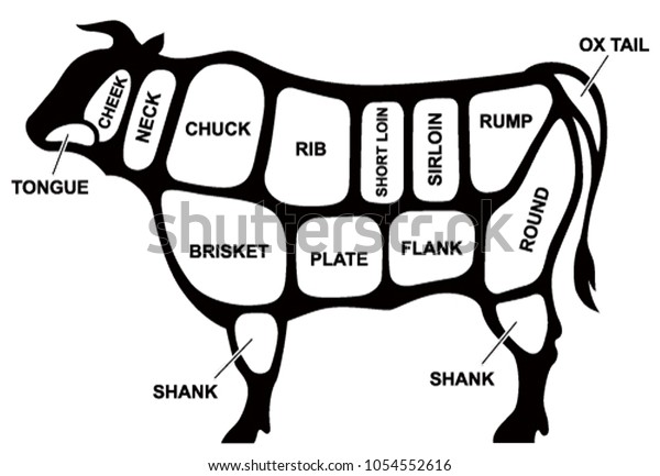 Beef Cuts Diagram Stock Vector (Royalty Free) 1054552616 | Shutterstock