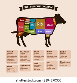 Diagrama De Cortes De Carne Con Ilustración De Vectores De Carne De Carne De Carne De Carne De Los Estados Unidos. Ilustración vectorial de la sección de corte de carne. Por ejemplo Shank, Rump, Flank, Plate, Brisket, Sirloin Y Más.