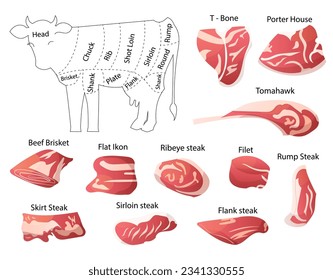 Beef cuts diagram, slices of beef, loin, sirloin, ribeye, skirt steak, flank steak, porterhouse, vector illustration