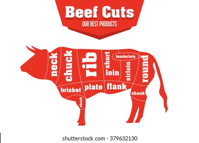 Beef cuts infographic set of meat parts, vector illustration