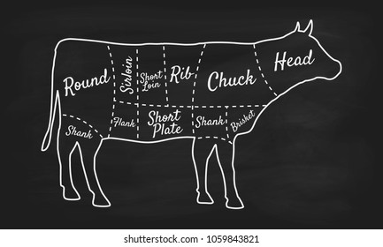 Beef cuts. Meat cuts. Vintage Poster for butcher shop. Retro diagram. Poster template for restaurant or cafe. Vector illustration