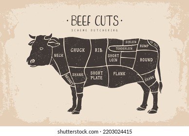 Cortes de carne. Diagrama del carnicero de afiches para comestibles, tiendas de carne, carnicería