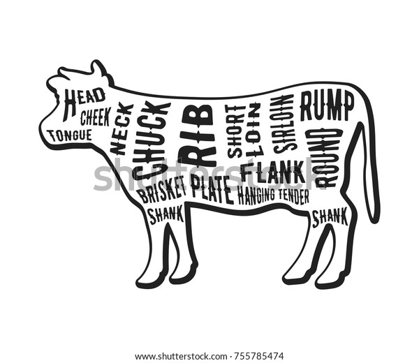 Beef Cuts Template Butcher Guide Isolated Stock Vector (Royalty Free ...