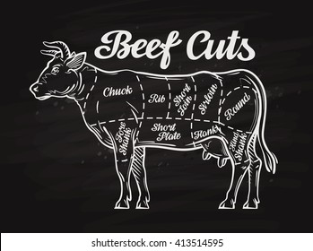 beef cuts. template menu design for restaurant or cafe