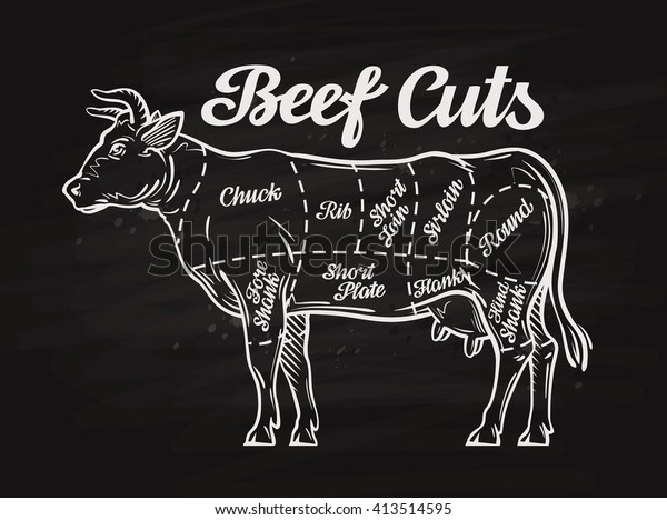 Beef Cuts Template Menu Design Restaurant Stock Vector (Royalty Free ...