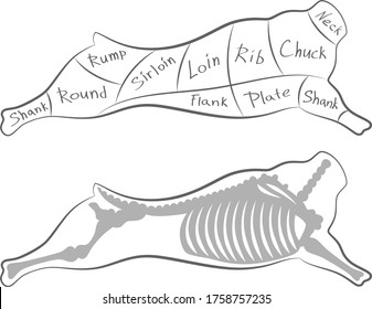 Beef cutting scheme on a white background