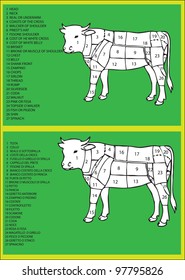 beef diagram