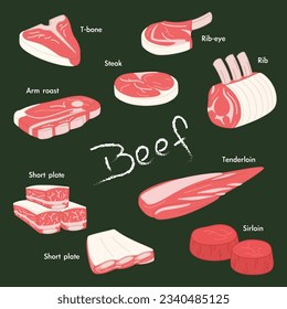 Beef Elements of Different Parts of Cow Illustration Vector