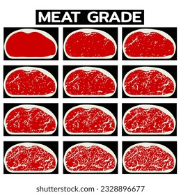 beef grades background. Vector illustration