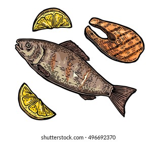 Beef grilled fish steak with lemon top view. Vintage color vector engraving illustration. Isolated on white background.