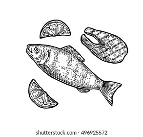 Carne de pescado asado con vistas al limón. Ilustración de grabado vectorial negro vintage. Aislado sobre fondo blanco.