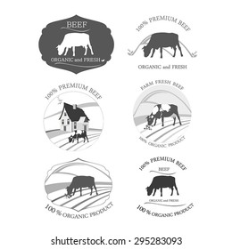 Beef label. Vector set of premium beef logos, emblem, organic food labels. 
?ow grazes logo. Cow badges and logo.