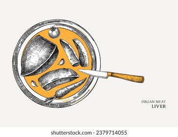 Beef liver design. Internal organs of farm animal drawings. Healthy food sketch. Hand drawn vector Illustrations on a white background. Cattle organ meat, offal, ingredients, butchery design elements.