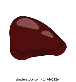 Beef liver illustration on the white background. Vector illustration