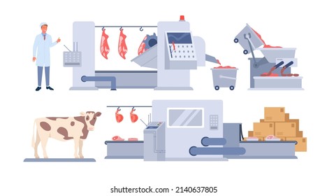 Beef manufacture factory production. Meat industry system, automated processing stages of beef, meat consumption, cattle agricultural farming cartoon vector illustration