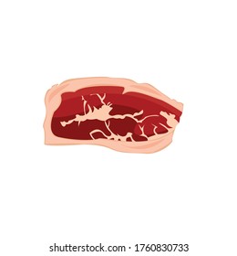 Beef Meat Cartoon Art Illustration
