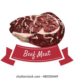 Beef meat colorful illustration. Vector illustration of beef meat.