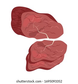 Beef meat vector illustration on the white background. Vector illustration