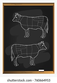 Beef menu on blackboard background. Beef cuts template. Butcher guide. Hand drawn vector illustration.