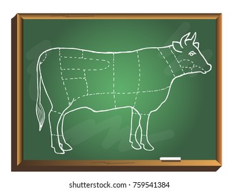 Beef menu on chalkboard. Beef cuts template. Butcher guide. Hand drawn vector illustration.