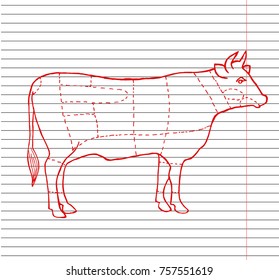 Beef menu on copybook background. Beef cuts template. Butcher guide. Hand drawn vector illustration.