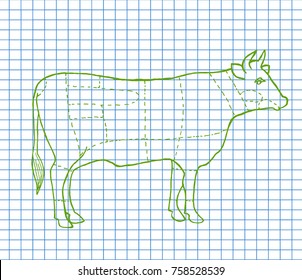 Beef menu on copybook background. Beef cuts template. Butcher guide. Hand drawn vector illustration.