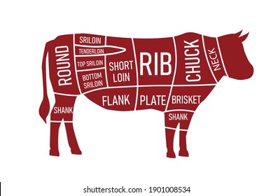 Beef parts of the cow isolated on wite background. red beef meat cuts.