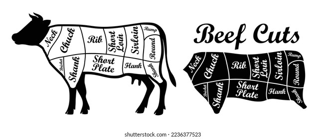 Beef parts of the cow isolated on wite background. beef meat cuts.