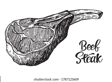 Beef, pork or lamb Red meat hand drawn sketch. Engraved raw food illustration. Butcher shop product. Prime rib steak vector illustration. Vintage style,can be used for logo, label, restaurant menu.