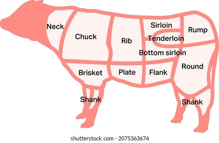 Beef portion map isolated vector illustration.