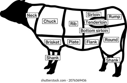 Gráfico vectorial aislado de la parte de carne.