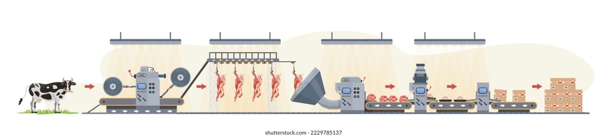 Beef production infographic. Meat production process. Industrial line from cow, meat storage, processing, packaging, distribution. Food manufacturing factory, plant. Concept. vector illustration. 