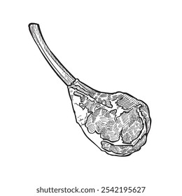 Beef Ribeye Drawing Illustration, Black Outlines on White Background, Engraving Style, Beef Meat