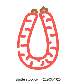 beef sausage meat color icon vector. beef sausage meat sign. isolated symbol illustration
