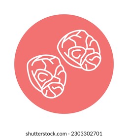 Beef shank color line icon. Cutting meat. Pictogram for web page, mobile app, promo.