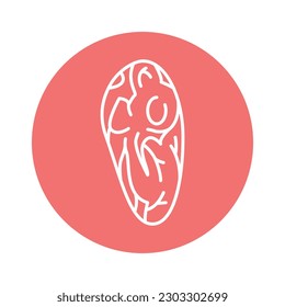 Beef shoulder color line icon. Cutting meat. Pictogram for web page, mobile app, promo.
