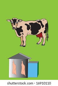 Beef for slaughter or Dairy