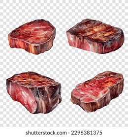 Beef steaks set, grilled steaks collection, realistic, icon, detailed, vector illustration