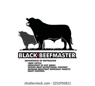 BEEFMASTER CATTLE LOGO, great silhouette of beef bull vector illustrations