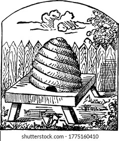 A beehive is an enclosed box-like structure, constructed by man, in which the honey bee species live and raise their young. Shown here is one such beehive, for the reception of a swarm of honey-bees,
