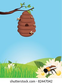 beehive in field
