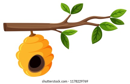 Beehive hanging from a tree branch with leaves illustration