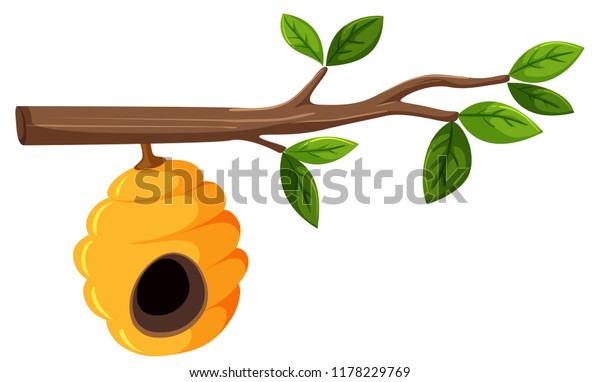 木の枝にぶら下がる蜂の巣と葉のイラスト のベクター画像素材 ロイヤリティフリー