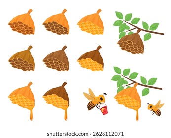Beehive and honey illustration set