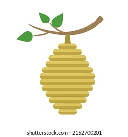 Beehive isolated on white background. House of wild bees on tree branch. 