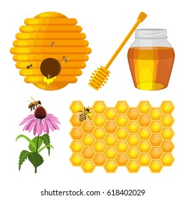 Beehive nest, bee on honeycomb, bees on purple field flower, jug with fresh honey and wooden stick isolated on white background. Set of beekeeping elements vector illustration in realistic design