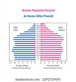 Bienenpopulationspyramide, Bevölkerungspyramide