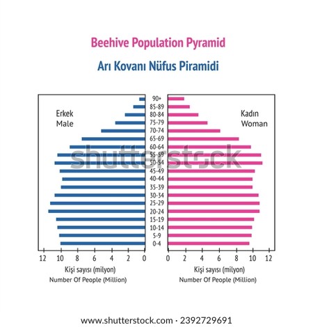 beehive population pyramid, population pyramid