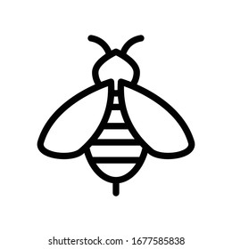 beehive vector thin line icon 