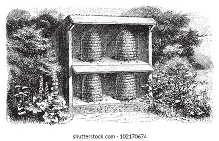 Beehive / vintage illustration from Brockhaus Konversations-Lexikon 1908